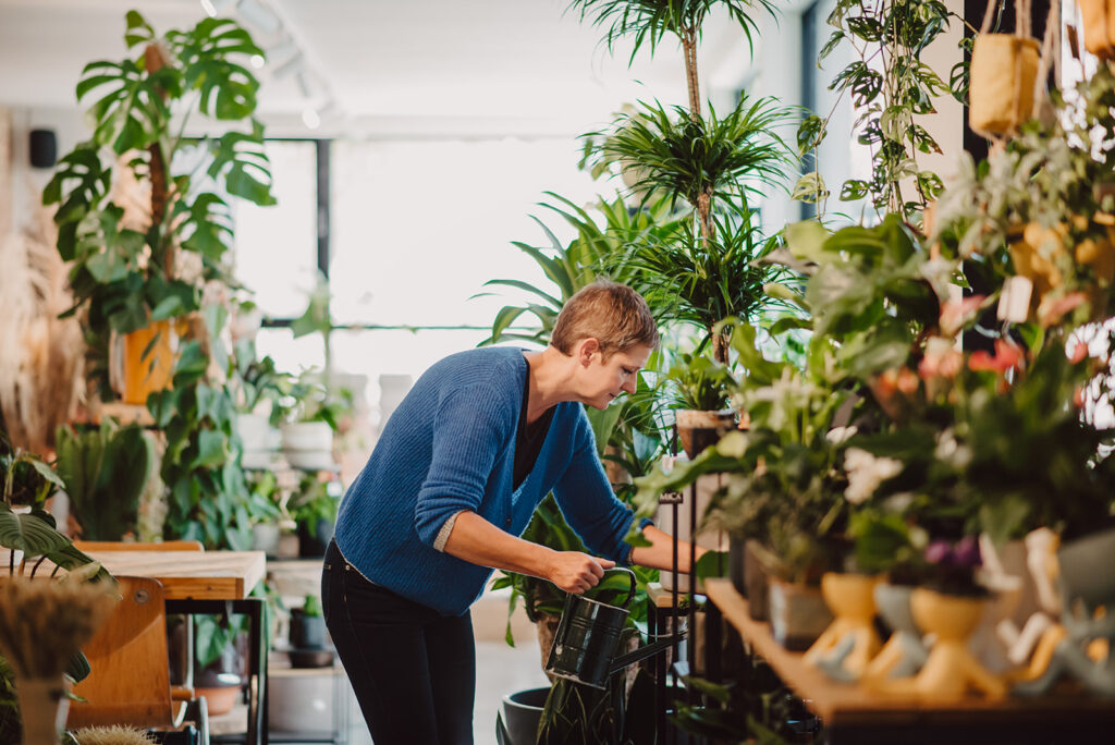 Kamerplanten water geven in de winkelruimte van De Stek. 